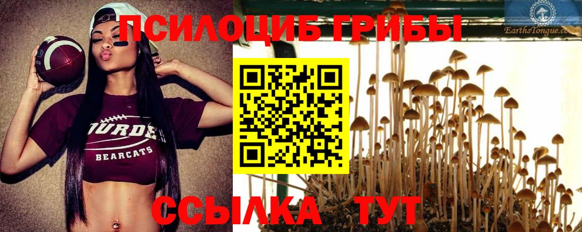 Псилоцибиновые грибы Cubensis  Галлюциногенные грибы MAGIC MUSHROOMS  Рузаевка  Вход с VPN 