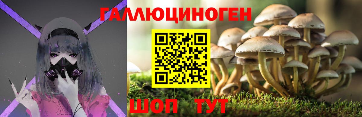 Псилоцибиновые грибы мухоморы Рузаевка